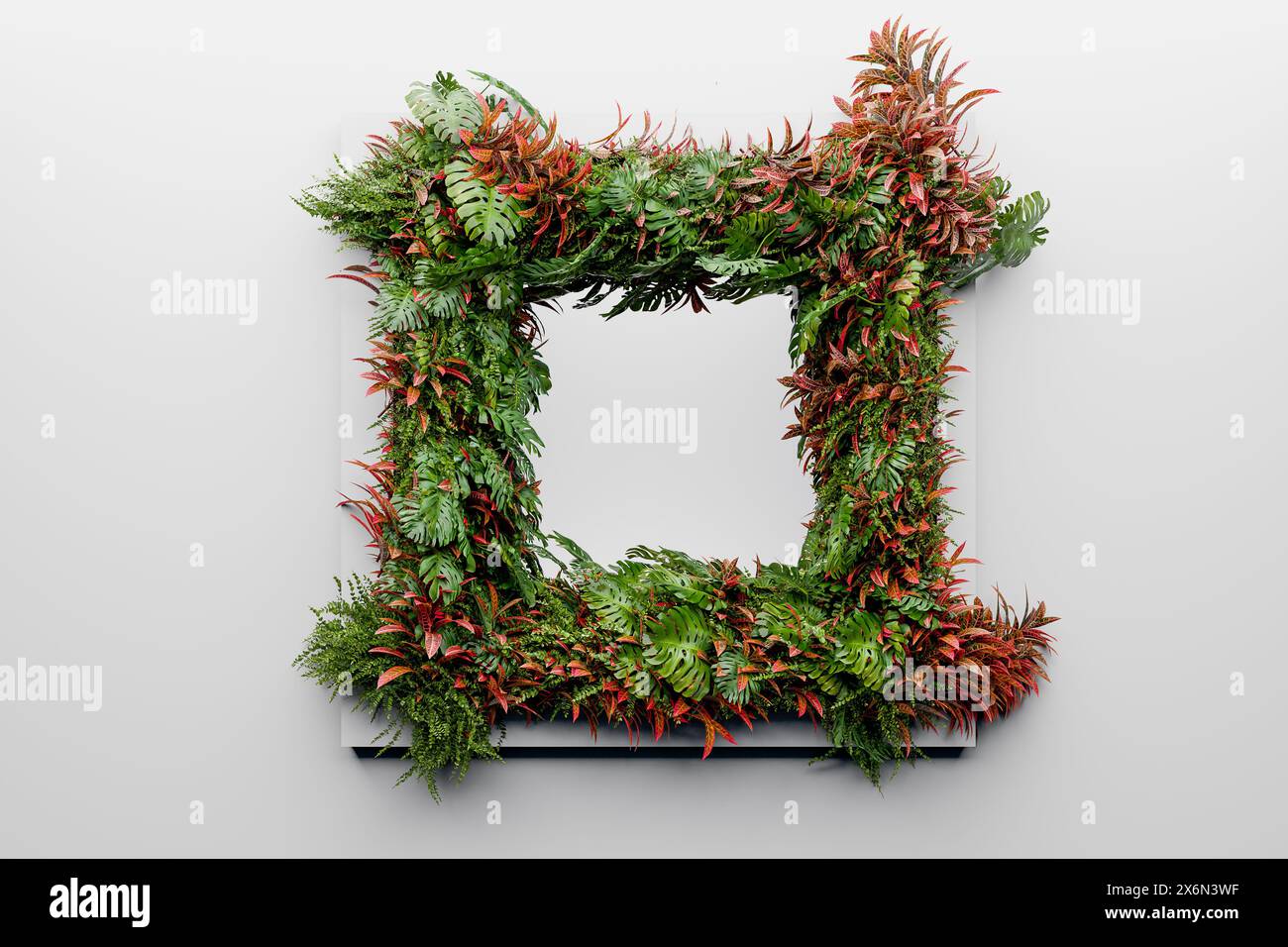 cornice quadrata attraverso la quale le piante crescono, dando vita all'ambiente altrimenti sterile - illustrazione 3d. Foto Stock