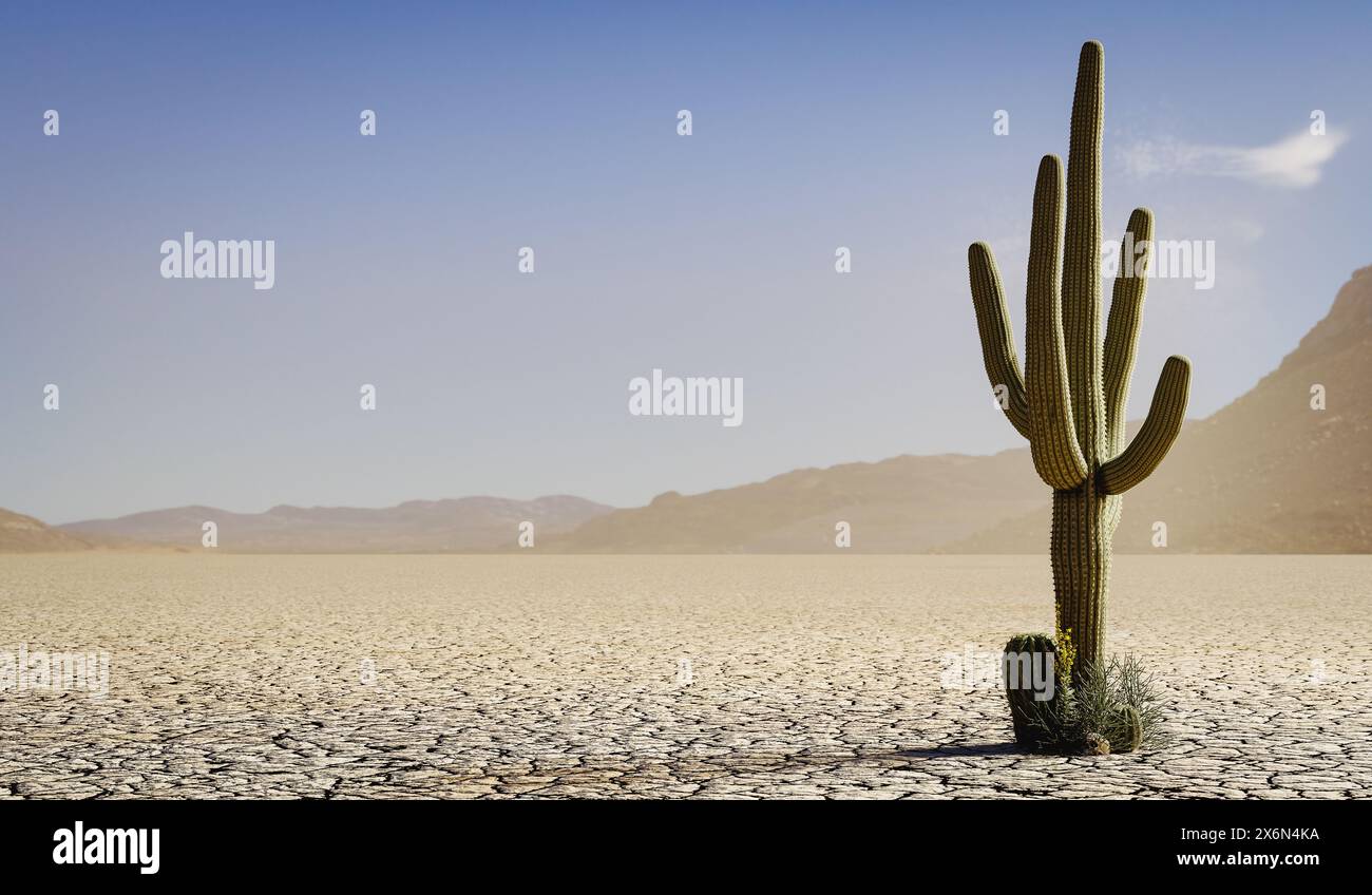 Un singolo grande cactus e qualche altra pianta in un lago asciutto o deserto - illustrazione 3D. Foto Stock