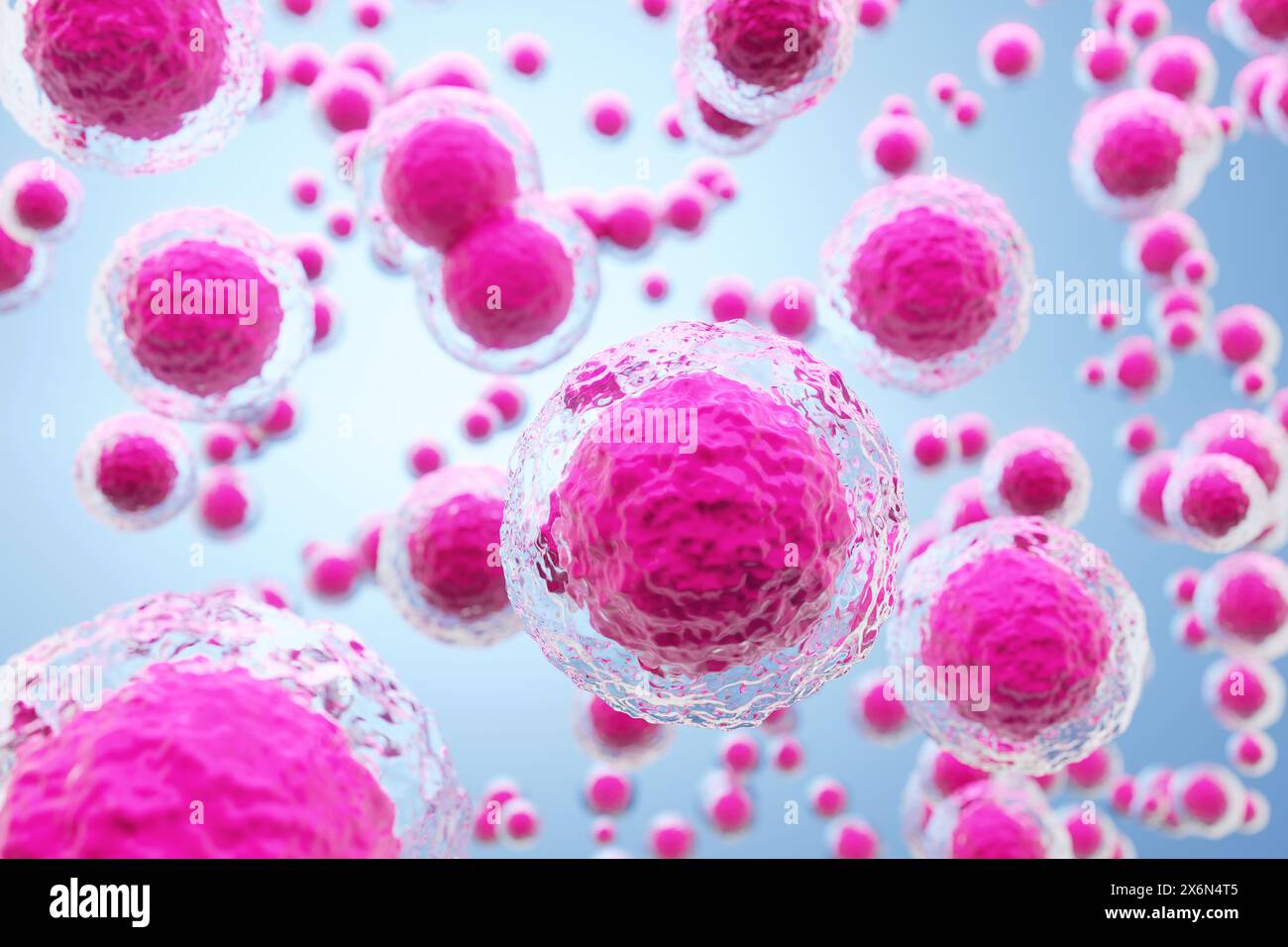 Cellule umane o cellule staminali - illustrazione 3D. Foto Stock