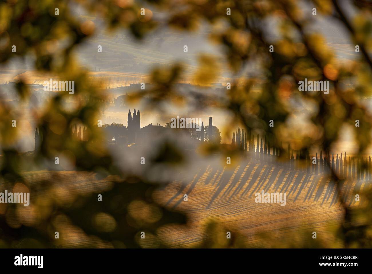 Paesaggio in Toscana, vicino alla Siana e Pienza, Alba mattutina in Italia. Idilliaca vista sul prato collinare in Toscana in bella luce mattutina, Italia. Foto Stock