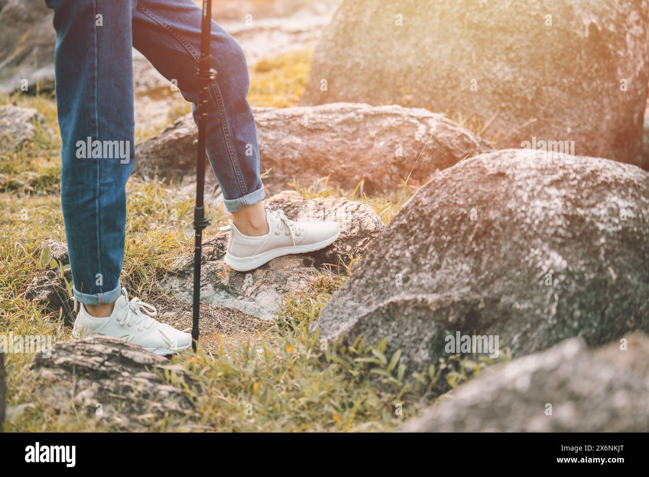 persone natura turista a piedi trekking avventura nel parco nazionale della foresta attività di vacanza stile di vita sano Foto Stock