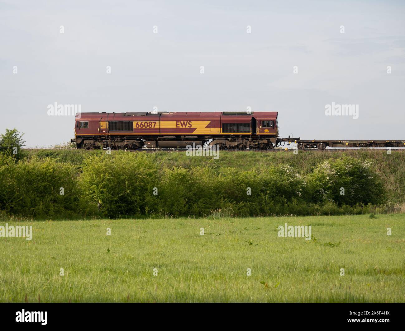 EWS classe 66 locomotiva diesel n. 66087 che trae un treno freightliner a Hatton Bank, Warwickshire, Regno Unito Foto Stock