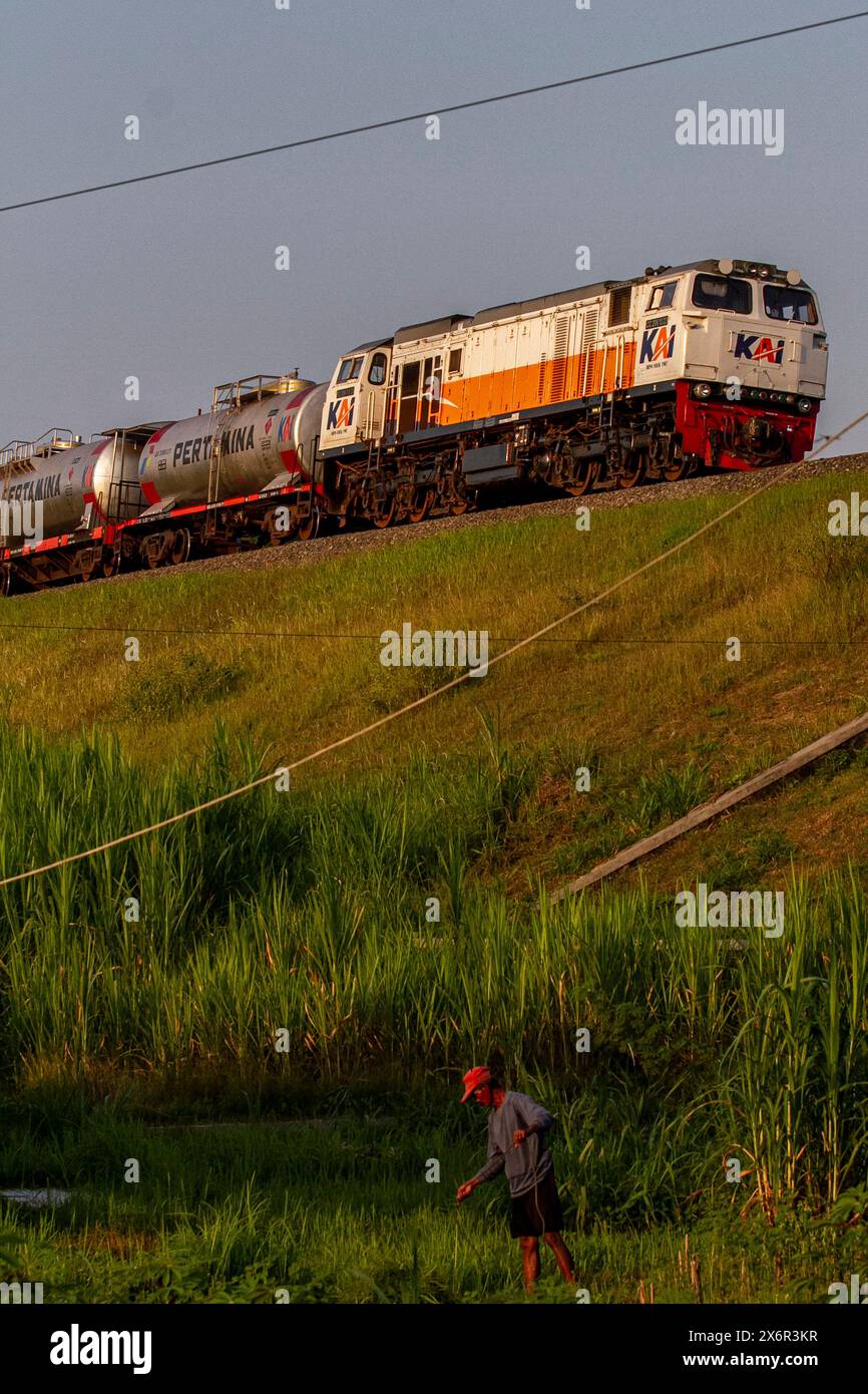 Kulon Progo, Yogyakarta, Indonesia. 16 maggio 2024. Un contadino raccoglie l'erba mentre un treno che trasporta carburante passa attraverso il distretto di Sentolo, Kulon Progo Regency. (Credit Image: © Angga Budhiyanto/ZUMA Press Wire) SOLO PER USO EDITORIALE! Non per USO commerciale! Foto Stock