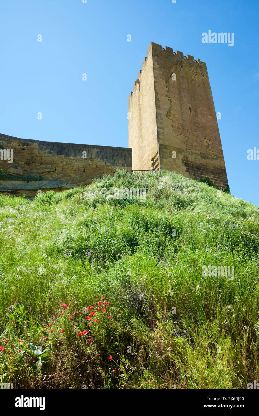 Vista esterna del castello nel villaggio di Layana nella provincia di Saragozza, Aragona in Spagna Foto Stock