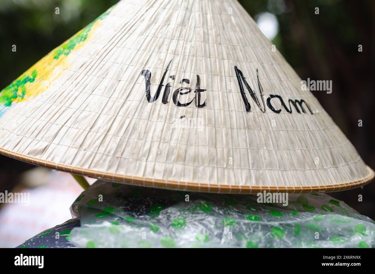 Irriconoscibile donna vietnamita che indossa un tradizionale cappello conico di bambù. Concetto di viaggio Foto Stock