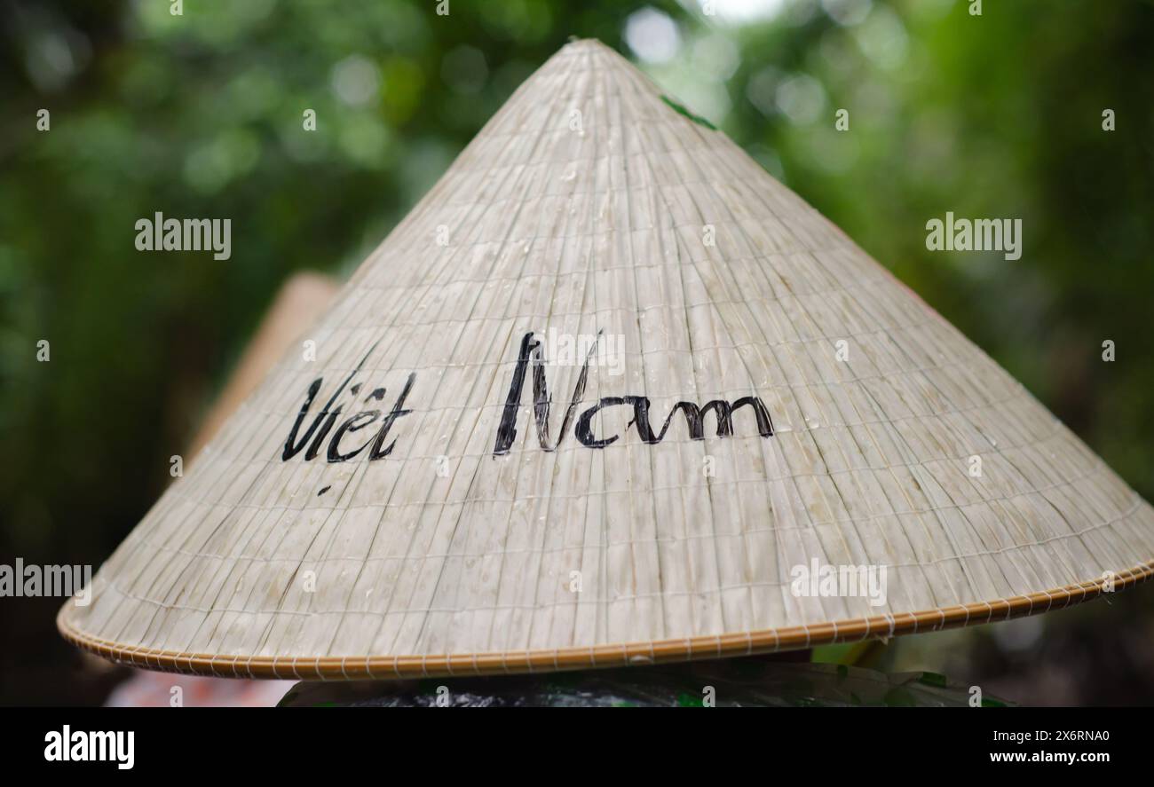 Irriconoscibile donna vietnamita che indossa un tradizionale cappello conico di bambù. Concetto di viaggio Foto Stock