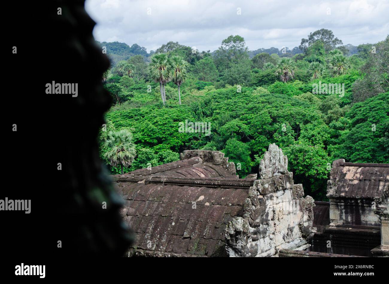 Antiche rovine del tempio buddista di Angkor Wat a Siem Reap, Cambogia. Green Lands e vista della foresta dai monumenti Foto Stock