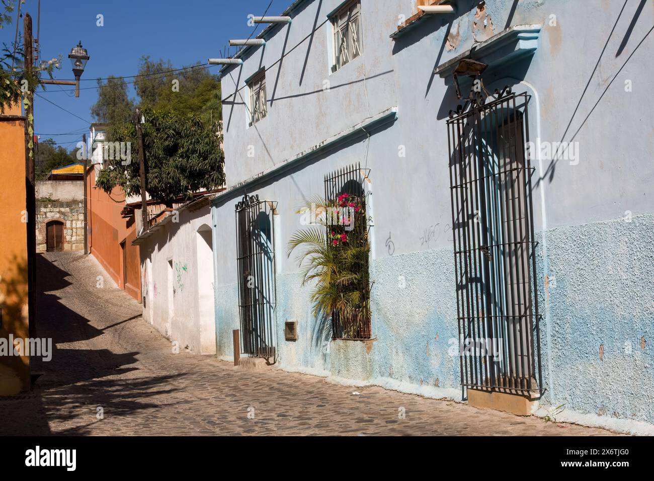 Oaxaca; Messico; Nord America. Scena residenziale, Calle de Morelos. Foto Stock