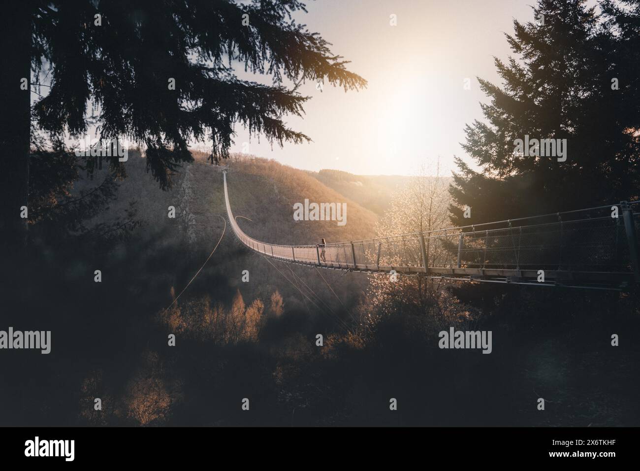 Donna guarda in lontananza all'alba sul ponte sospeso di corda di Geierlay a Moersdorf, in Renania-Palatinato, in Germania, dopo un'escursione in autunno Foto Stock