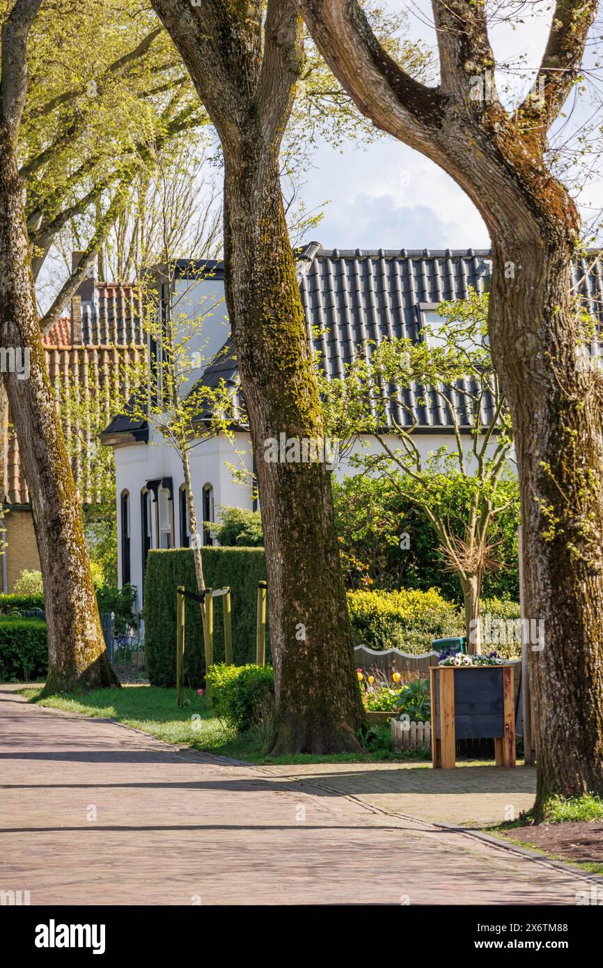 Lunga passeggiata lungo grandi alberi che circondano piccoli giardini e case in primavera, case storiche e una chiesa con piccole strade e lanterne, Nes Foto Stock