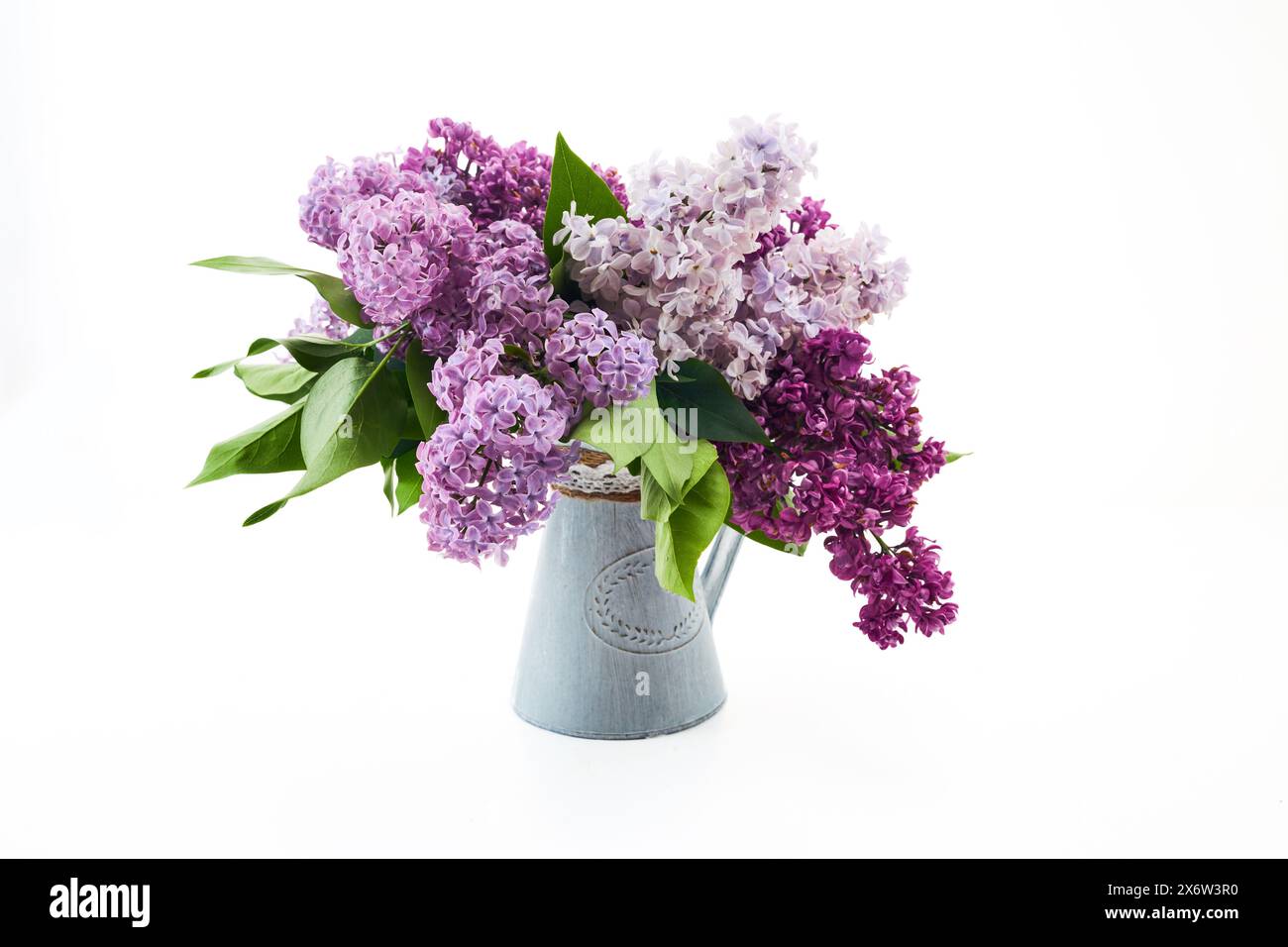 Elegante bouquet lilla in vaso su sfondo bianco Foto Stock