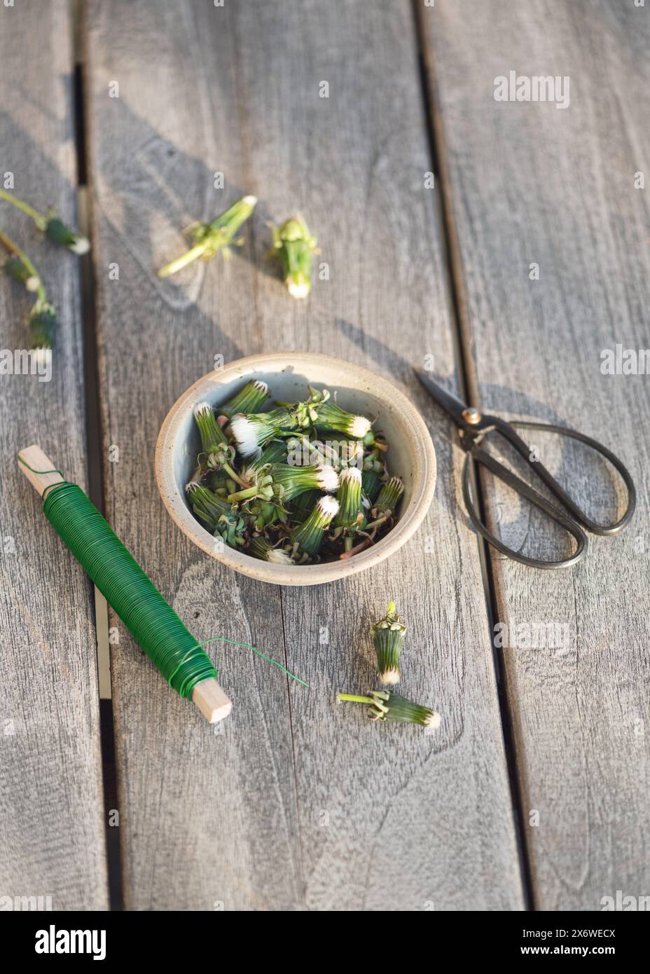 Fase 2. Posto di lavoro fiorista con boccioli di dente di leone, filo avvolto verde e forbici per arredare il cuore. Design decorativo fatto a mano. Foto Stock