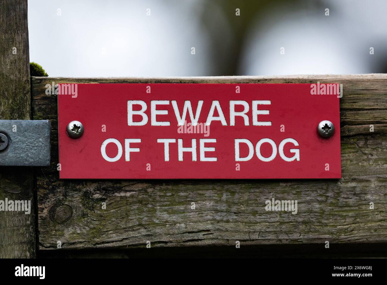 Un cartello "Beware of the Dog" su un cancello. Questo cartello rosso e bianco avverte chiunque entri nel cancello che c'è un cane presente sull'altro lato. Foto Stock