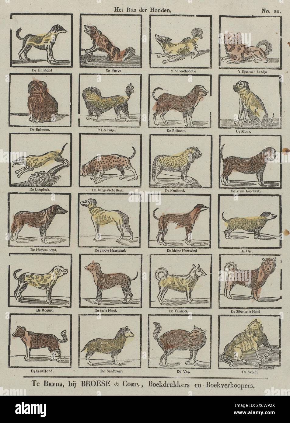 La razza di cani (titolo sull'oggetto), Foglio con 24 rappresentazioni di diverse razze di cani, tra cui il cane della casa, il cane del grembo e il cucciolo. Il nome della razza sotto ogni immagine. Numerato in alto a destra: N. 20., stampa, stampatore: Johannis Waleson, (menzionato sull'oggetto), editore: Broese & Comp., (menzionato sull'oggetto), Breda, 1828 - 1853, carta, stampa con carta intestata, altezza, 416 mm x larghezza, 333 mm Foto Stock