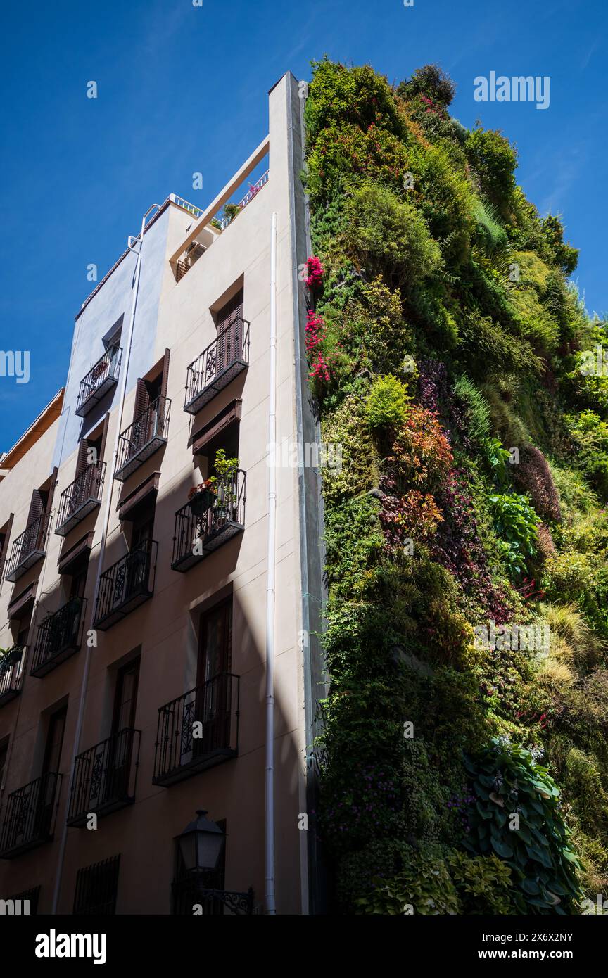 Giardino verticale Caixa Forum di Patrick Blanc, Madrid, Spagna Foto Stock