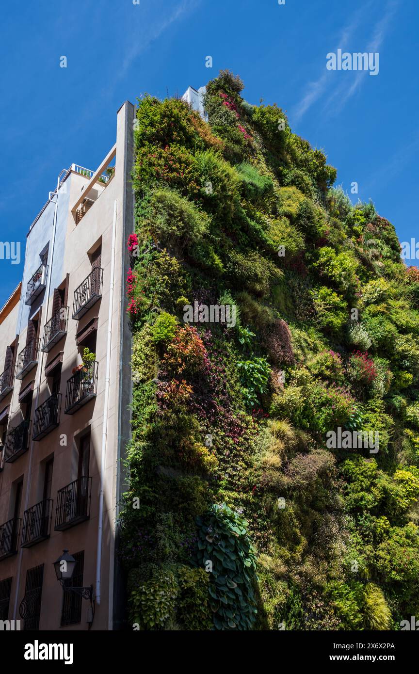 Giardino verticale Caixa Forum di Patrick Blanc, Madrid, Spagna Foto Stock