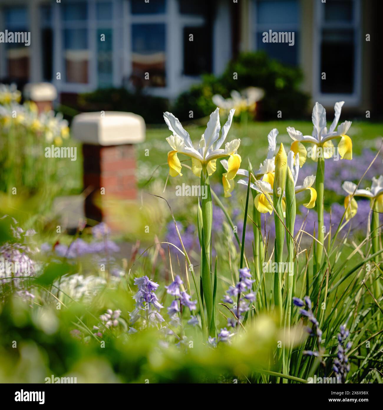 Splendida terrazza vittoriana con giardino sulla costa di Whitley Bay, North Tyneside Foto Stock
