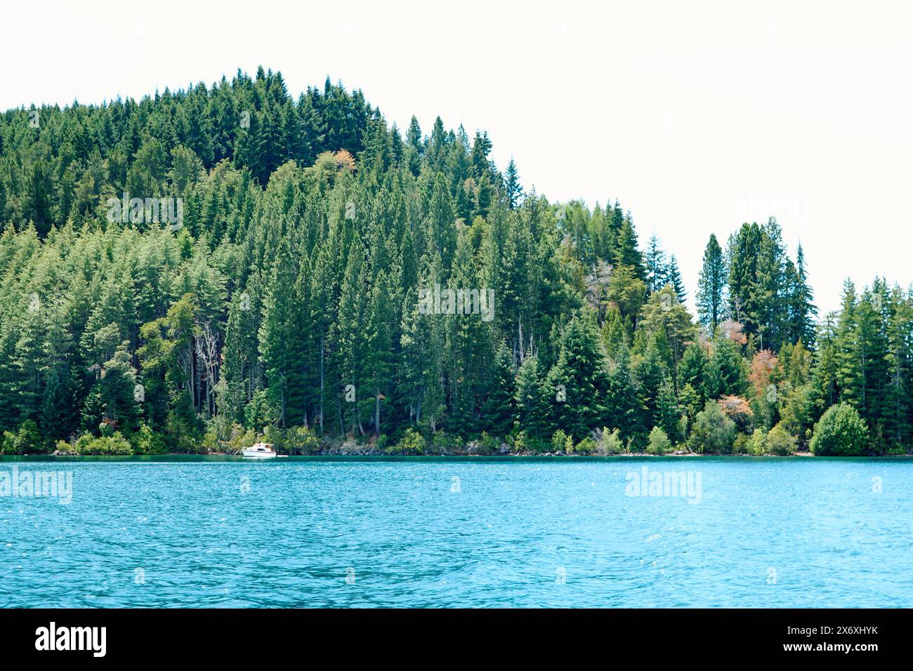 Una fitta foresta fiabesca su una montagna vicino a un lago blu con uno yacht sulla riva, il Bariloche National Park Foto Stock