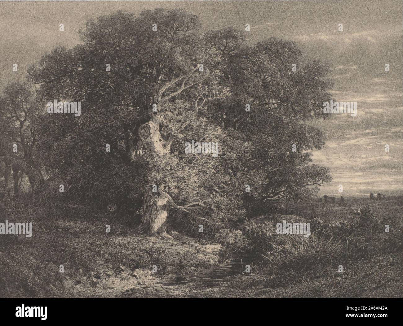 Paesaggio con quercia su un ruscello, paesaggi di A. Calame (titolo della serie), oeuvres de A. Calame (titolo della serie su oggetto), stampa, stampatore: Alexandre Calame, (menzionato sull'oggetto), stampatore: Jacomme & Cie, (menzionato sull'oggetto), editore: F. Delarue, (menzionato sull'oggetto), Parigi, 1852 - 1855, carta, altezza, 388 mm x larghezza, 558 mm Foto Stock