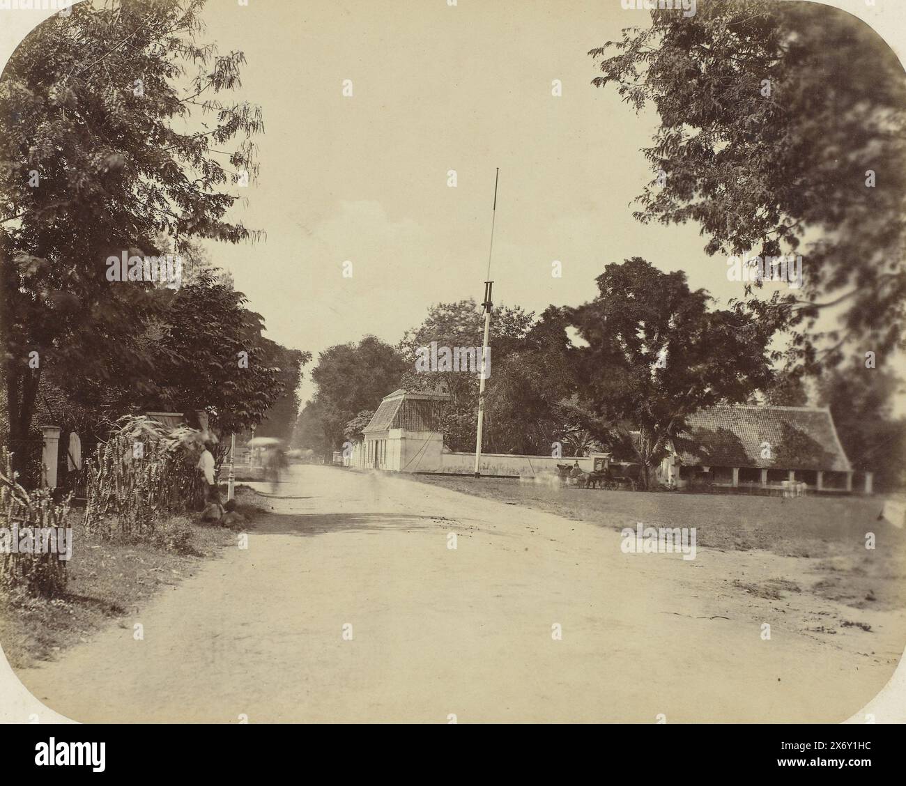 Una strada a Surabaya, Una strada a Surabaya con un prato sulla destra con un grande albero sul bordo con alcuni cavalli e carrozze. Parte dell'album fotografico presentato dalla Soerabayasche Association of Sugar Manufacturers a Frederik Beyerinck, residente a Soerabaya., Fotografia, Herman Salzwedel, Soerabayasche Vereeniging van Suikerfabrikanten, Surabaya, 1876 - 1884, supporto fotografico, stampa albume, altezza, 22,5 cm x larghezza, 26,5 cm Foto Stock