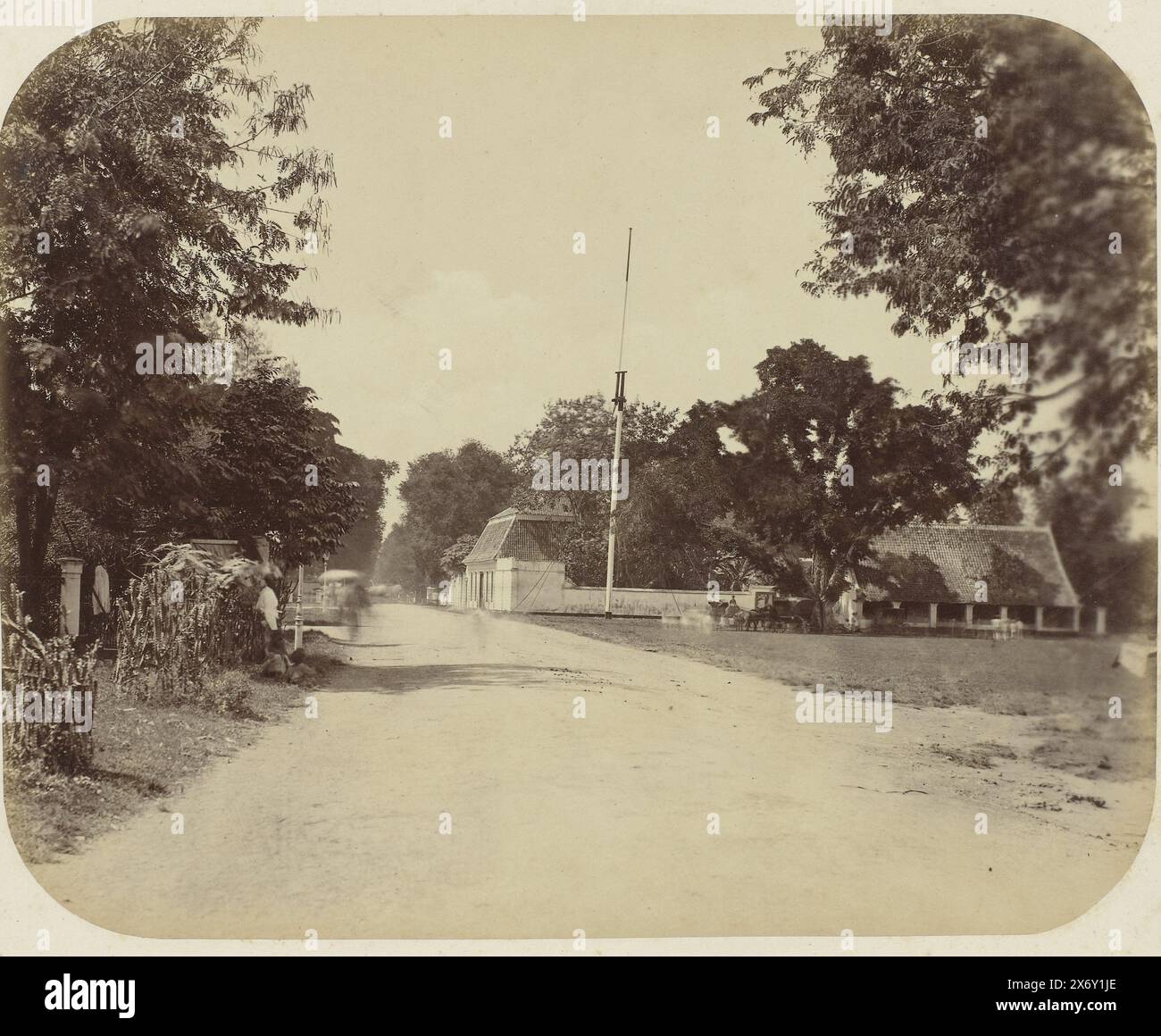 Una strada a Surabaya, Una strada a Surabaya con un prato sulla destra con un grande albero sul bordo con alcuni cavalli e carrozze. Parte dell'album fotografico presentato dalla Soerabayasche Association of Sugar Manufacturers a Frederik Beyerinck, residente a Soerabaya., Fotografia, Herman Salzwedel, Soerabayasche Vereeniging van Suikerfabrikanten, Surabaya, 1876 - 1884, supporto fotografico, stampa albume, altezza, 22,5 cm x larghezza, 26,5 cm Foto Stock