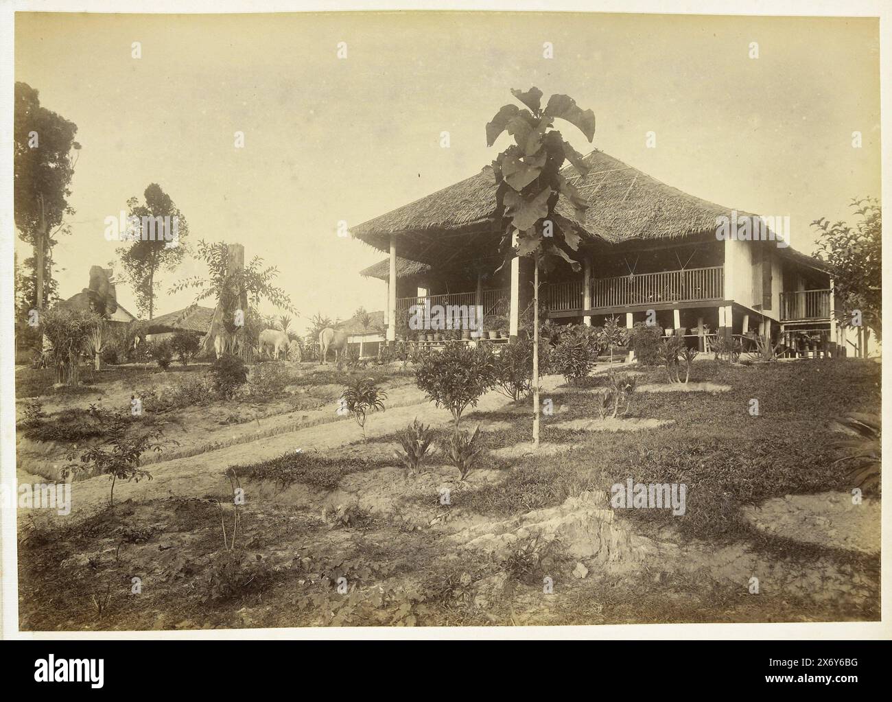 Vista della casa degli assistenti, Langkat Sumatra, fotografia, Heinrich Ernst & Co, (attribuito a), Bindjai Langkat, c. 1900, supporto fotografico, stampa albume, altezza, 227 mm x larghezza, 322 mm Foto Stock