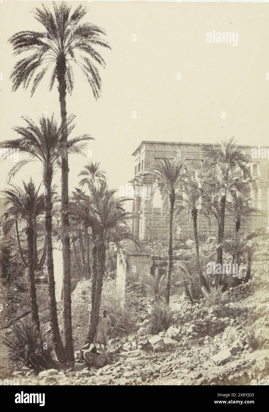 Palme sull'isola di Philae nel Nilo, gruppo di palme Isola di Philae (titolo sull'oggetto), fotografia, Francis Frith, (menzionato sull'oggetto), Philae, in o dopo c. 1856 - in o prima di c. 1859, carta, stampa albume, altezza, 225 mm x larghezza, 160 mm Foto Stock