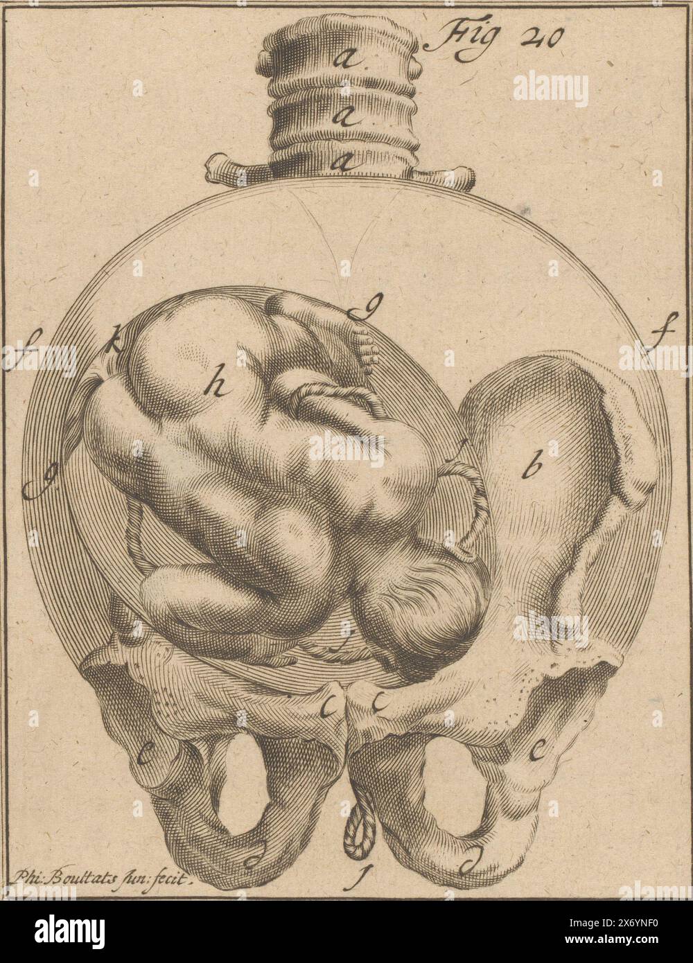 Feto nel grembo materno, immagini mediche sulla gravidanza e il parto (titolo della serie), Un libro illustrazione di un feto nel grembo materno. Vista frontale che mostra solo l'utero, i fianchi e la colonna vertebrale dello scheletro. La stampa contiene lettere di accompagnamento, che probabilmente si riferiscono a notazioni nel libro., print, print maker: Philibert Bouttats (II), (menzionato sull'oggetto), 1701, carta, incisione, altezza, 147 mm x larghezza, 127 mm Foto Stock