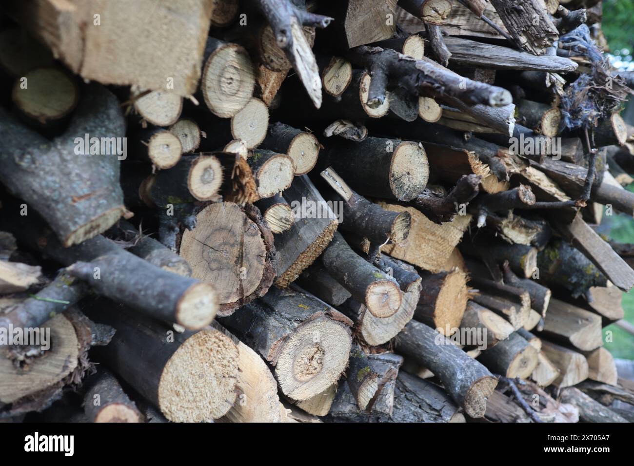 pila di legna da ardere tagliata, riprese ravvicinate, area di campagna Foto Stock