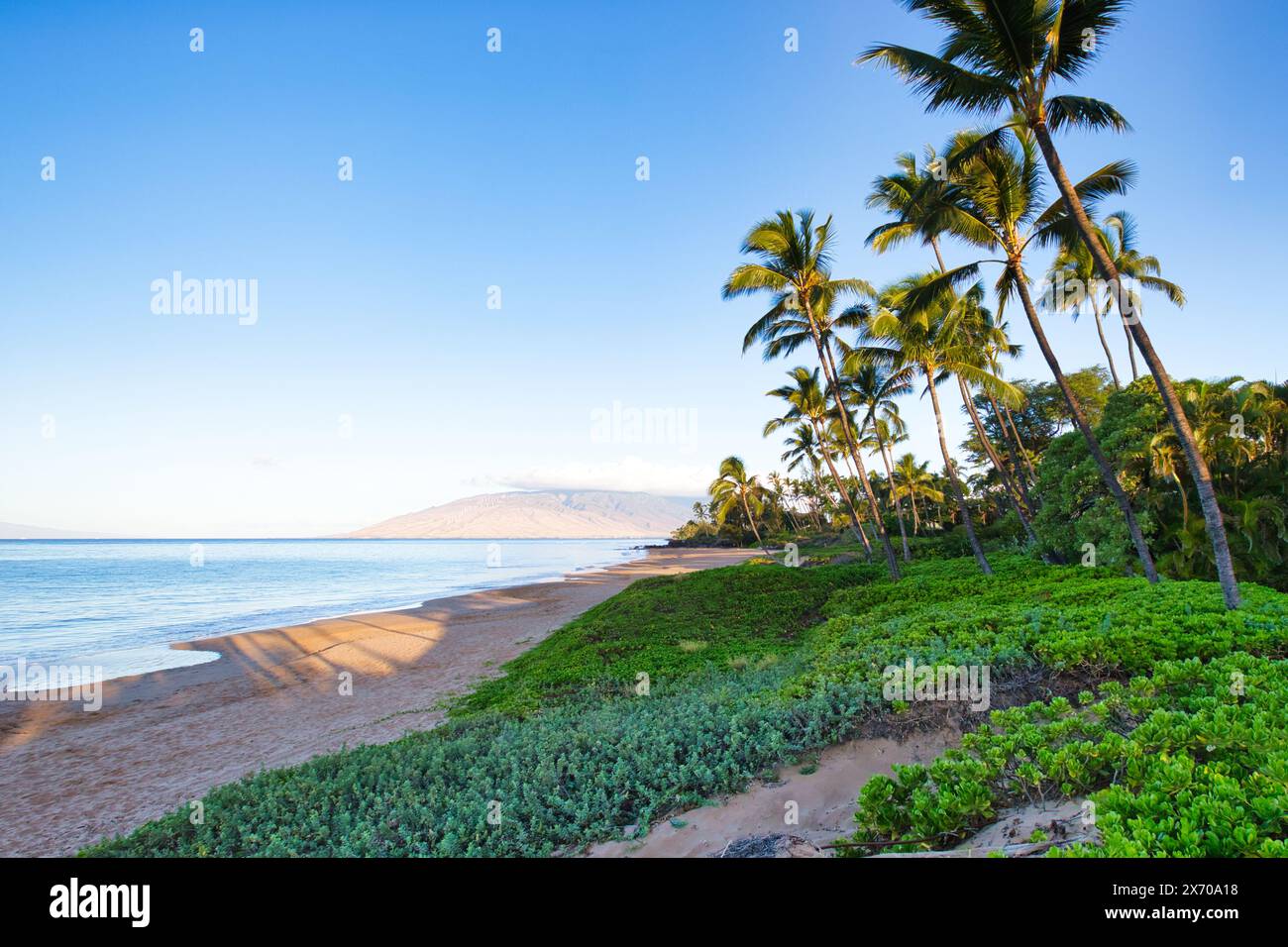 Bellissima spiaggia. Vista della bella spiaggia tropicale con palme intorno a. Vacanza e concetto di vacanza. Spiaggia tropicale. Foto Stock
