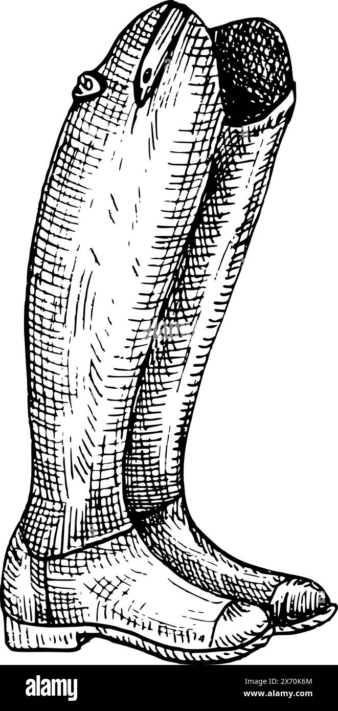 Bagagliaio. Illustrazione grafica vettoriale di uno stivale da equitazione. Pittura a mano. Equipaggiamento per cavalli, per sport ippici Illustrazione Vettoriale