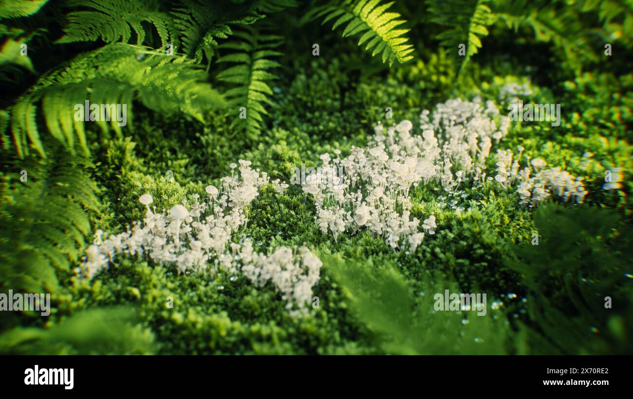 Rendering 3D di una mappa del mondo fatta di funghi bianchi che crescono su muschio verde, che rappresenta l'interconnessione della natura e il susta ecologico globale Foto Stock