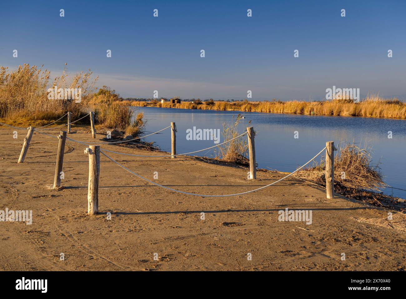 Gola de Migjorn, dove questo braccio del delta dell'Ebro sfocia nel mare (Montsià, Tarragona, Catalogna, Spagna) Foto Stock