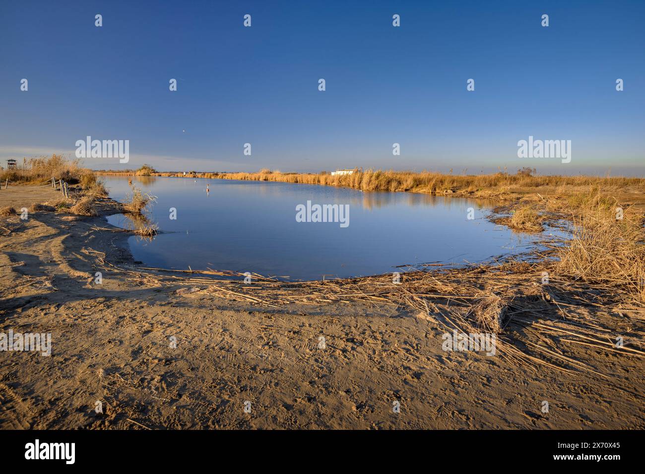 Gola de Migjorn, dove questo braccio del delta dell'Ebro sfocia nel mare (Montsià, Tarragona, Catalogna, Spagna) Foto Stock