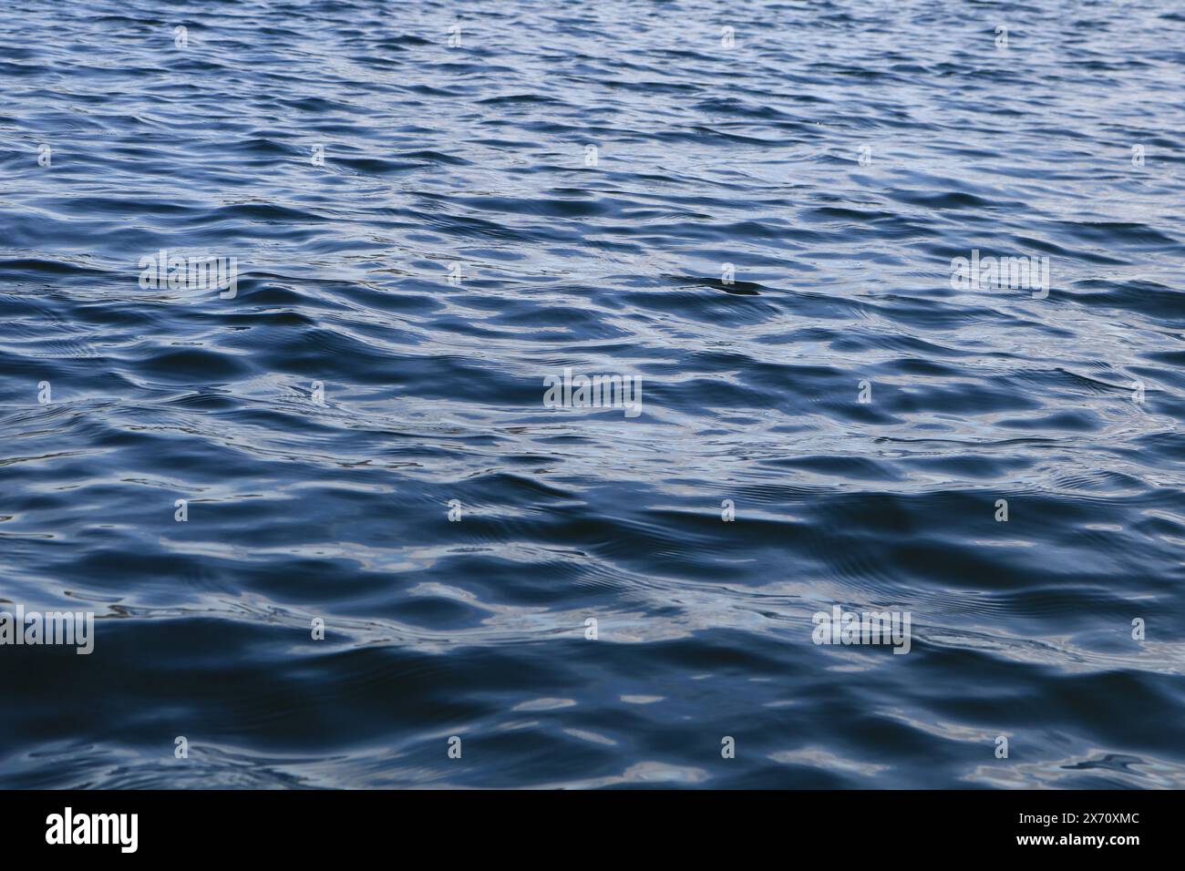 Acqua del fiordo Foto Stock