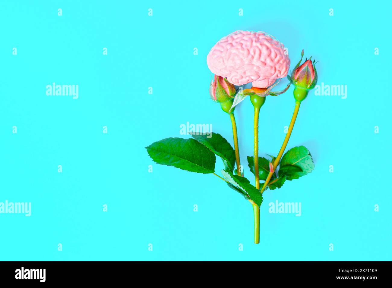 Ramo di rosa con un cervello umano al posto di uno dei suoi germogli. Fioritura di pensiero e creatività. Foto Stock