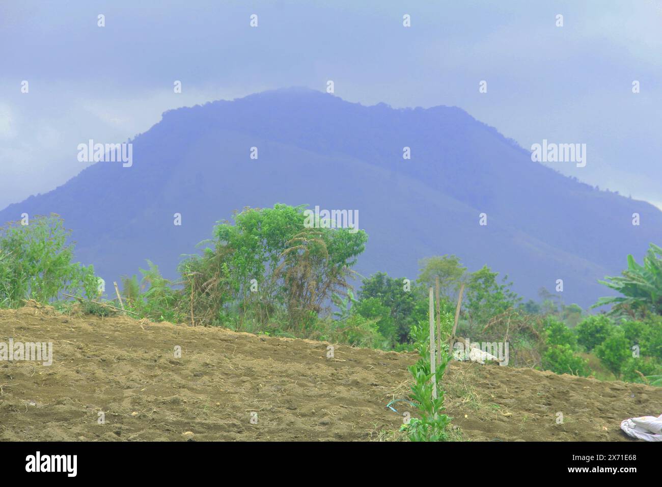 Panorama delle colline e dei terreni agricoli a Seribu Dolok, Sumatra settentrionale, Indonesia Foto Stock