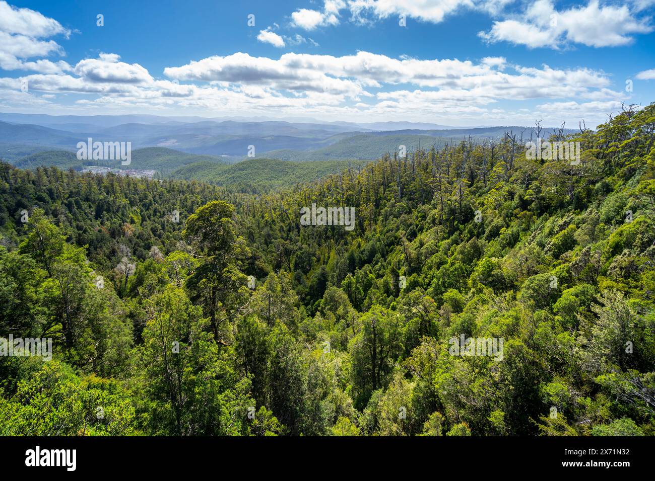 Ammira la valle di Huon dal punto panoramico di Waratah, dal Parco Nazionale delle montagne Hartz, Tasmania Foto Stock