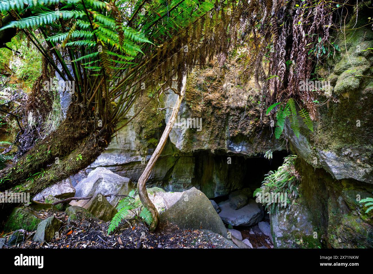 Ingresso alla Mystery Creek Cave, Tasmania meridionale Foto Stock