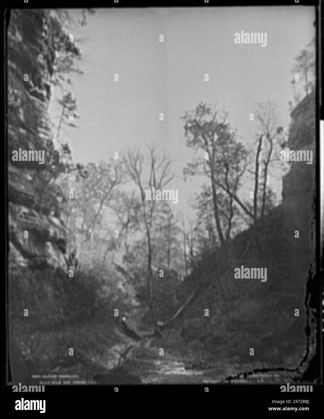 Wild Cat Canyon, Ill., formato verticale., elencato in Detroit Publishing Co. Registro negativo come allargamento del n. 563., 'Detroit Photographic Co.' e '0563' su negative., Detroit Publishing Co. N.. 0563., Detroit Publishing Co. N. 015114., Gift; State Historical Society of Colorado; 1949, Canyons. , Flussi. , Parchi statali e riserve. , Stati Uniti, Illinois, Starved Rock State Park. Foto Stock