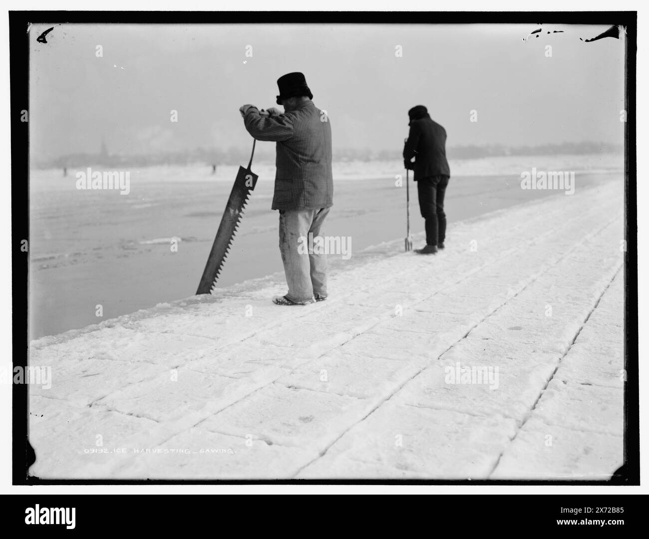 Raccolta del ghiaccio, segatura, Data basata su Detroit, Catalogo P (1906) e 'Detroit Photographic Co.' su negative., Detroit Publishing Co. N. 09192., Gift; State Historical Society of Colorado; 1949, Ice Industry. Foto Stock