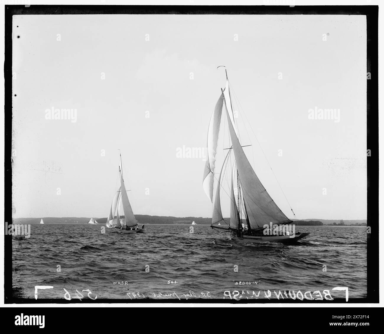 WASP and Bedouin, Attribution based on style of title and numbering., 'S.C. Reg[atta] June 26, 1897' e '546' on negative., possibilmente The Seawanhaka Corinthian Yacht Club regatta., No Detroit Publishing Co. N., Gift; State Historical Society of Colorado; 1949, Wasp (Sloop) , Bedouin (Sloop) , Yachts. , Regate. Foto Stock