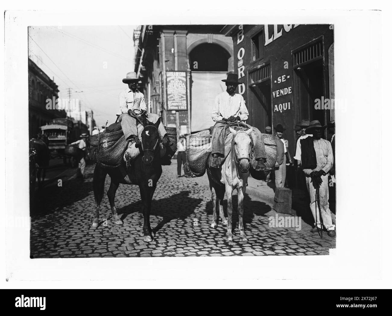 Vegetable men, Title, date, and locale from Detroit, Catalogue P (1906)., 'Isla de Cuba' on sign in background., Detroit Publishing Co. N. 09213., Gift; State Historical Society of Colorado; 1949, Food Vendors. , Mules. , Verdure. , Strade. , Cuba, l'Avana. Foto Stock