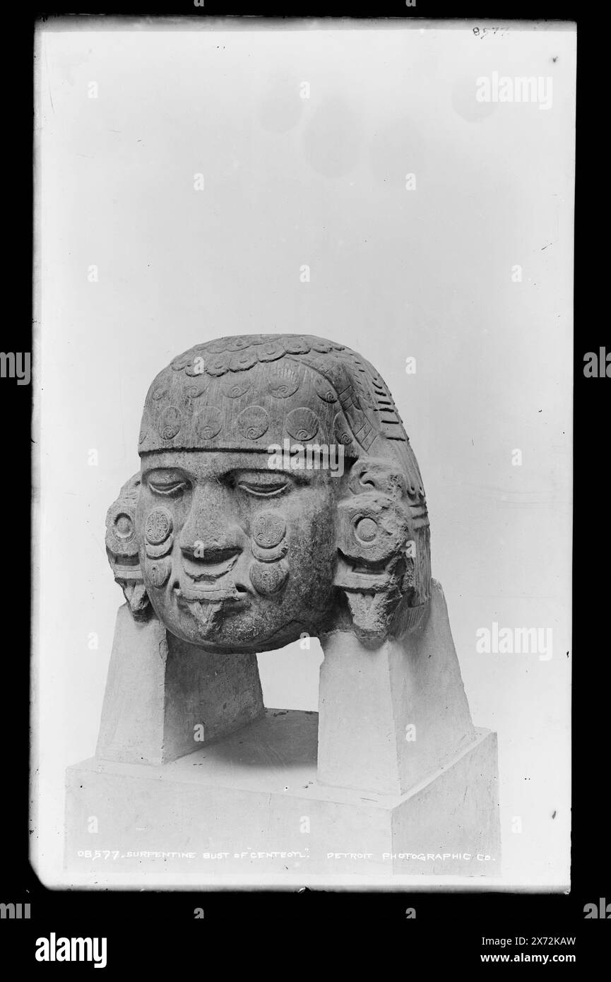 Serpentine bust Centeotl, Attribution to Jackson based on Catalogue of the W.H. Jackson Views (1898)., Colossal Head of a Human, at National Museum., Detroit Publishing Co. N. X 8577., Gift; State Historical Society of Colorado; 1949, Sculpture. , Aztechi. , Indiani del Messico. , Messico, città del Messico. Foto Stock