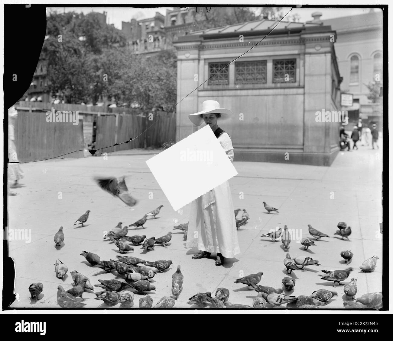 , Title from jacket., negative broken in two pieces; solo una grande porzione filmata in videodisc., at Boston Common., Detroit Publishing Co. N. 500437., Gift; State Historical Society of Colorado; 1949, Plazas. , Piccioni. , Città e vita cittadina. , Stati Uniti, Massachusetts, Boston. Foto Stock