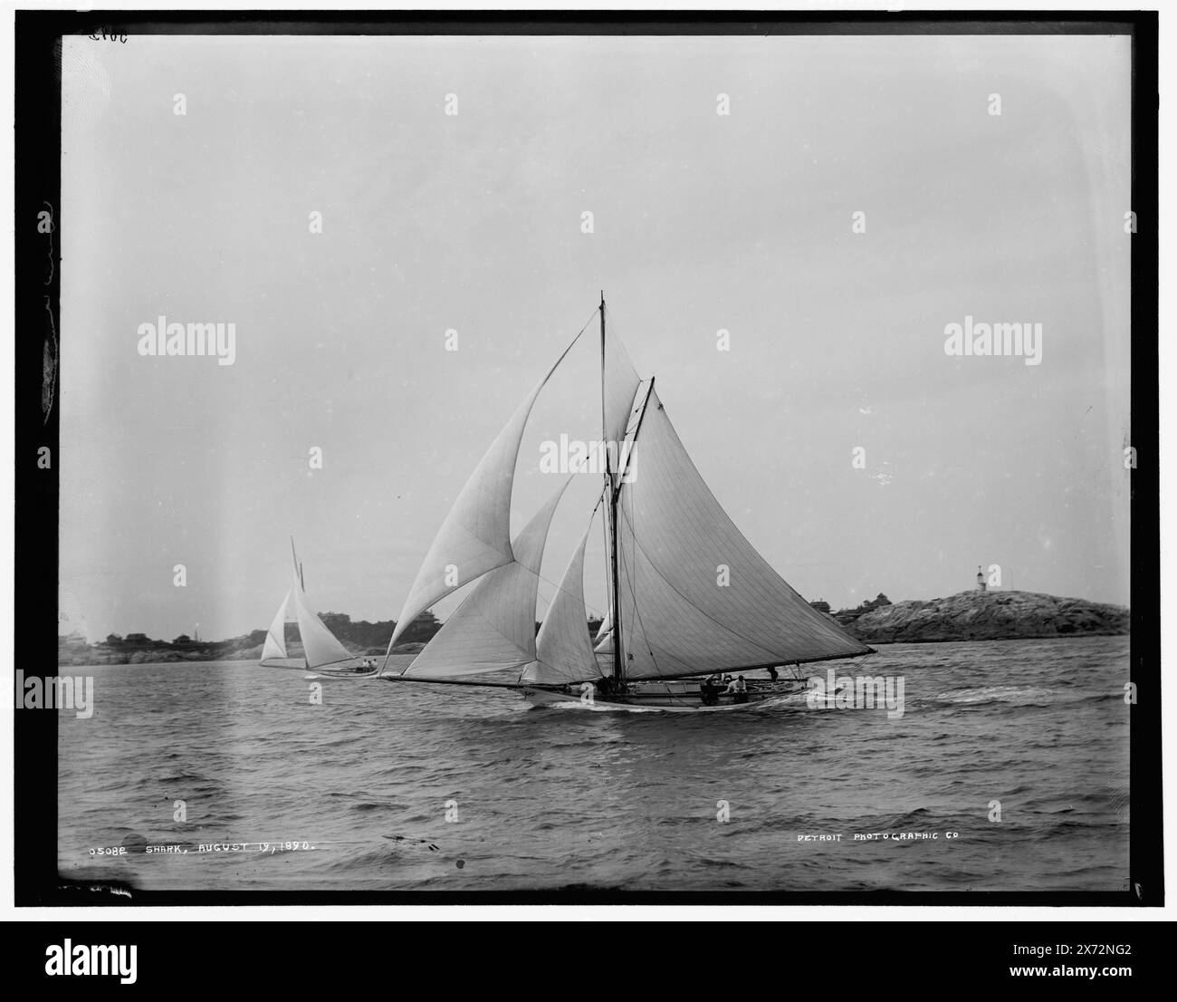 Shark, Detroit Publishing Co. N. 05082., Gift; State Historical Society of Colorado; 1949, Shark (Yacht) , Yachts. Foto Stock
