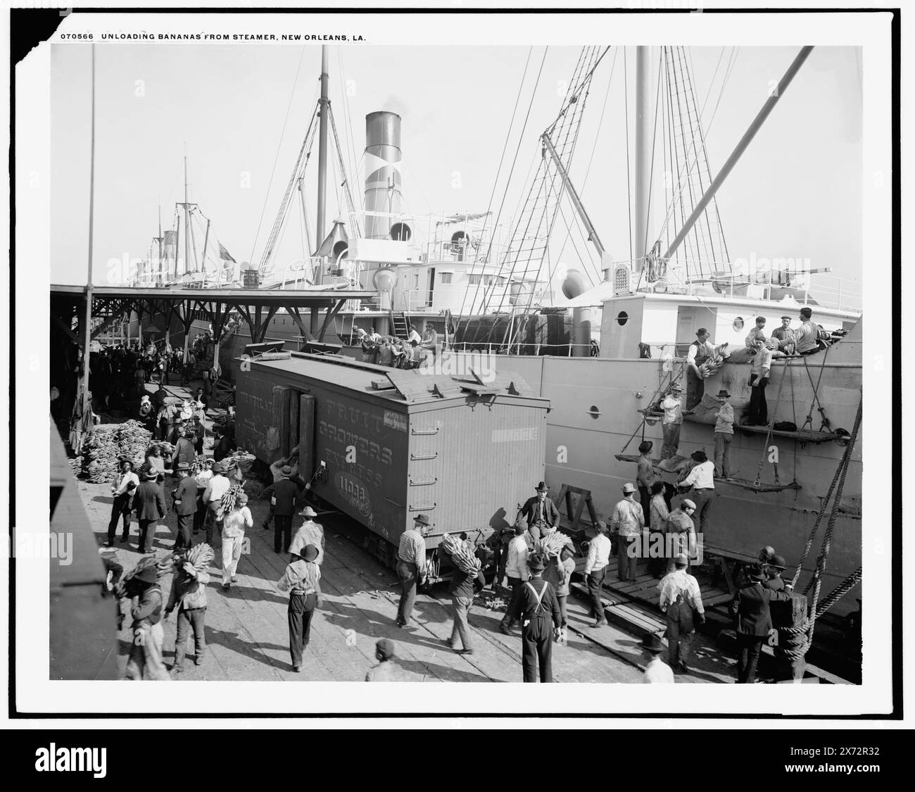 Scarico banane dal piroscafo, New Orleans, La., corrispondente trasparenza vetro (con lo stesso codice di serie) disponibile su telaio videodisc 1A-30926., negativo rotto e fissato su secondo foglio di vetro., '40' su negativo; '70566' e '033069' su trasparenza., Detroit Publishing Co. N.. 070566., Gift; State Historical Society of Colorado; 1949, Steamboats. , Moli e moli. , Banane. , Spedizione. , Stati Uniti, Louisiana, New Orleans. Foto Stock