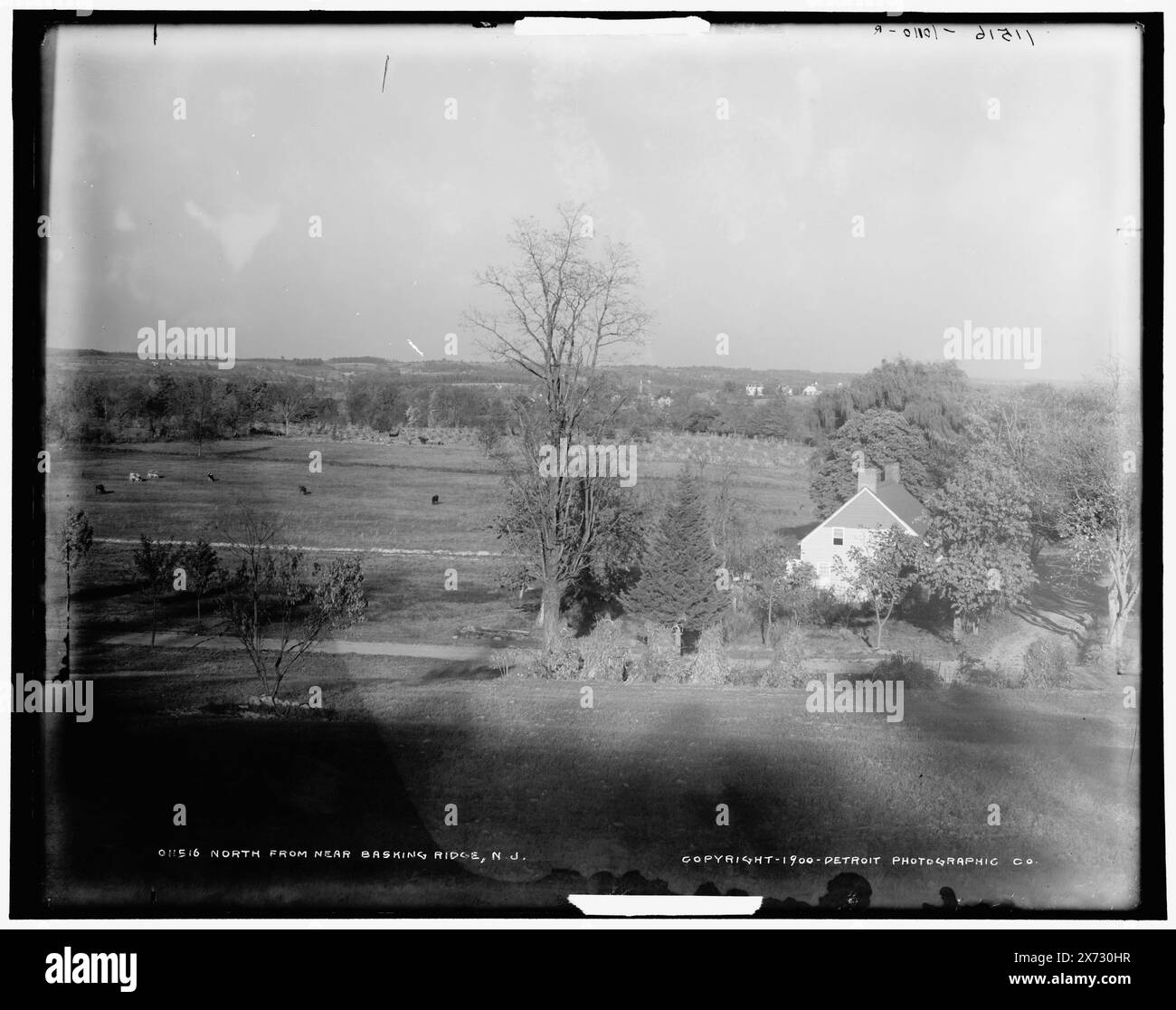 Nord da Near Basking Ridge, N.J., la corretta sequenza di immagini videodisc è 1A-05859, 07217., Detroit Publishing Co. N. 011516, 010110., Gift; State Historical Society of Colorado; 1949, Farms. , Valli. , Stati Uniti, New Jersey, Basking Ridge. Foto Stock