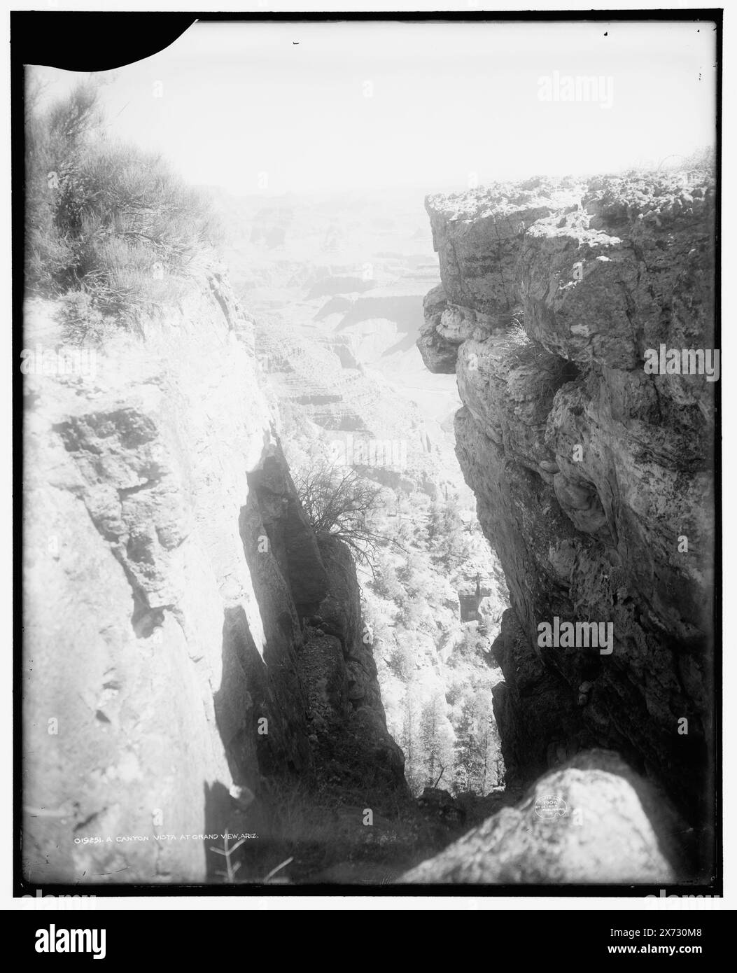A Canyon vista at Grand View, Ariz., Detroit Publishing Co. N. 019251., Gift; State Historical Society of Colorado; 1949, Canyons. , Stati Uniti, Arizona, Grand Canyon. Foto Stock