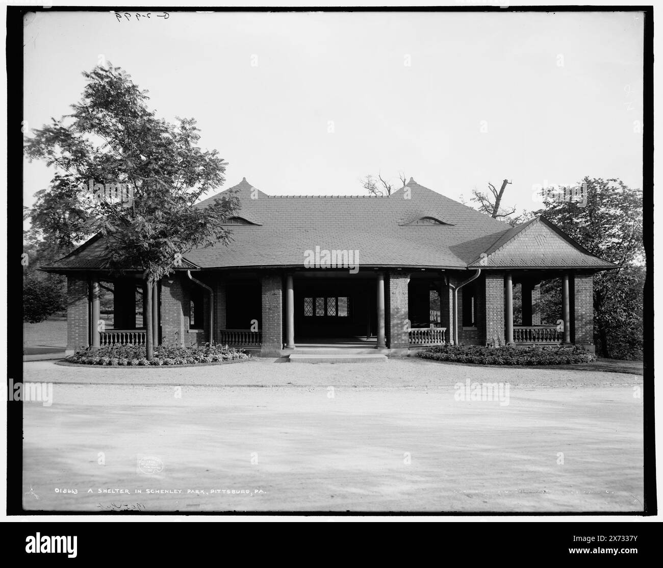 Phipps Conservatory, Schenley Park, Pittsburgh, Pa., corrispondente vetro trasparente (con lo stesso codice di serie) disponibile su videodisc frame 1A-30368., 'G2961' su negativo., Detroit Publishing Co. N.. 018662., Gift; State Historical Society of Colorado; 1949, Parks. , Serre. , Stati Uniti, Pennsylvania, Pittsburgh. Foto Stock
